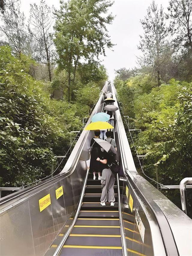 能坐就不站，能躺就不走！“窝囊旅游”玩法受青睐