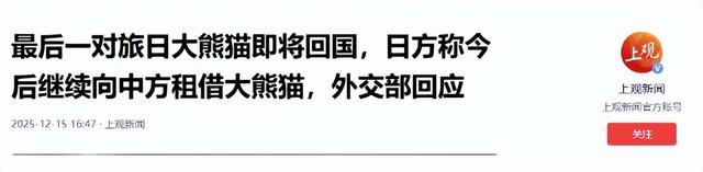 最后关头	，高市政府通告中国，希望租借新熊猫，中方误判了日本？