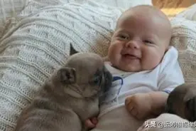 宝宝和狗狗一起生活，会对宝宝有什么影响？图片