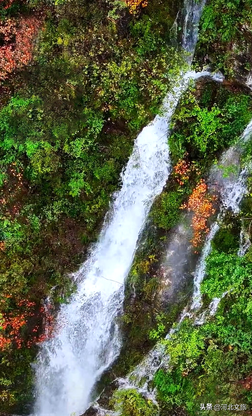 赏红叶・听秋水・颂英魂！河北涉县庄子岭，藏着太行动人的秋