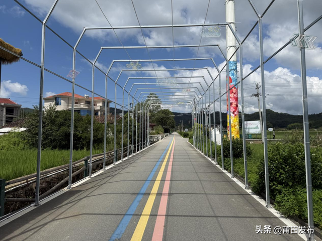 莆田仙游南兴村，稻田里藏着四季童话