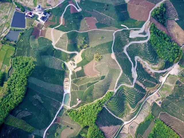 市级精品！富阳五条线路，成功入选！