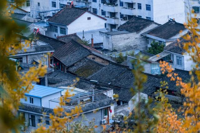 住下来，才懂秦岭的秋：留坝小城5日慢行指南