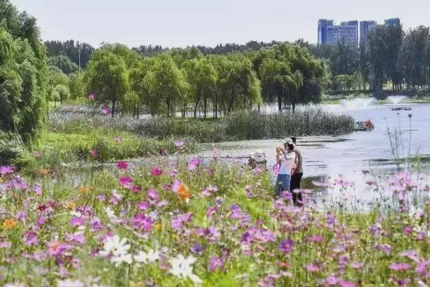 在昌平躺坪 | 20分钟，让公园治愈你
