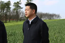 今天上午，县委书记去省纪委主动投案，中午官宣落马图片