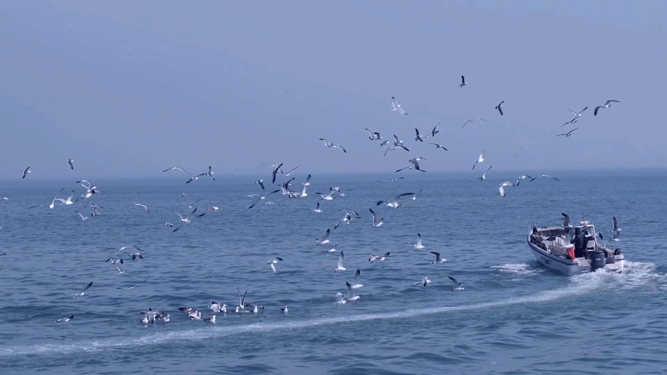 “潍坊海滨颜值担当” 每一处都让人心动