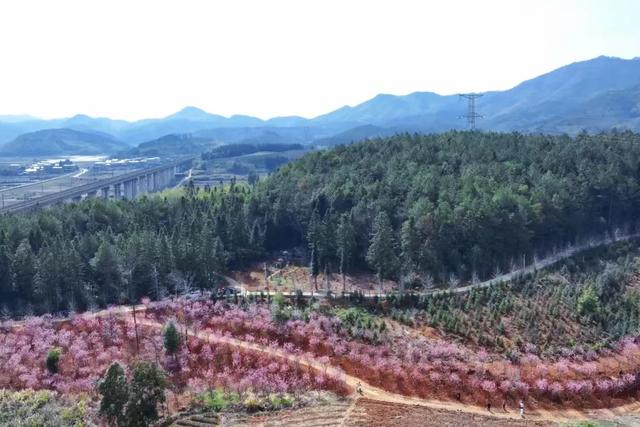 奋进的南平·我们的“十四五”｜风光“变现”、山水“生金”！南平奋力打造生态文明建设典范