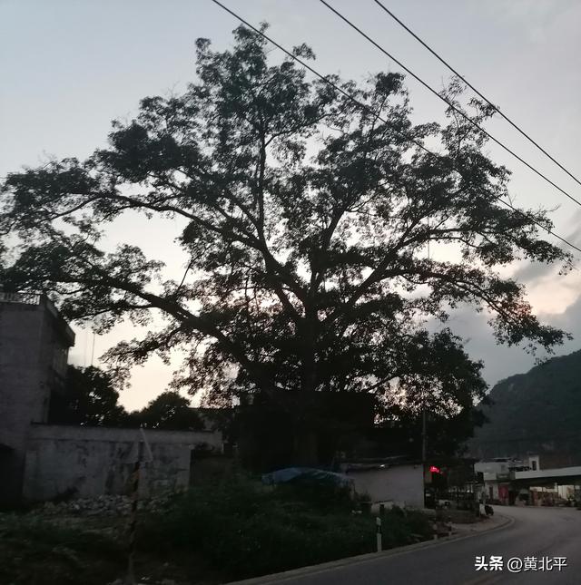 广西崇左市撤销的小乡，解放初期是大新县县城，为何后来被裁掉？