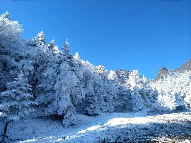 在雅安！！这么美的雪景我当然狠狠宣传啊啊啊！！