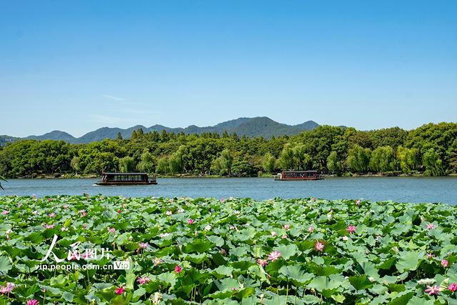 浙江杭州：西湖景区迎客来