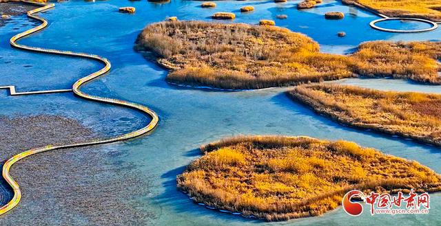 陇拍客丨张掖湿地披金装