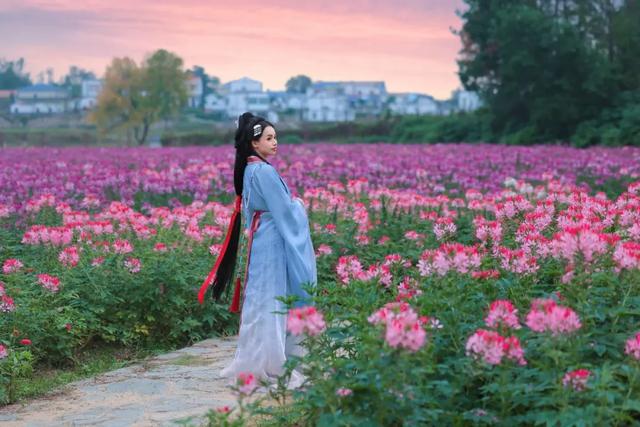 黄陂赏秋,这样玩才够味!