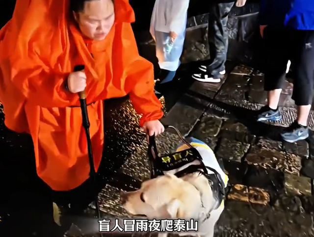 带导盲犬爬泰山后续！账号被扒，带狗到处旅游，基地回应大快人心