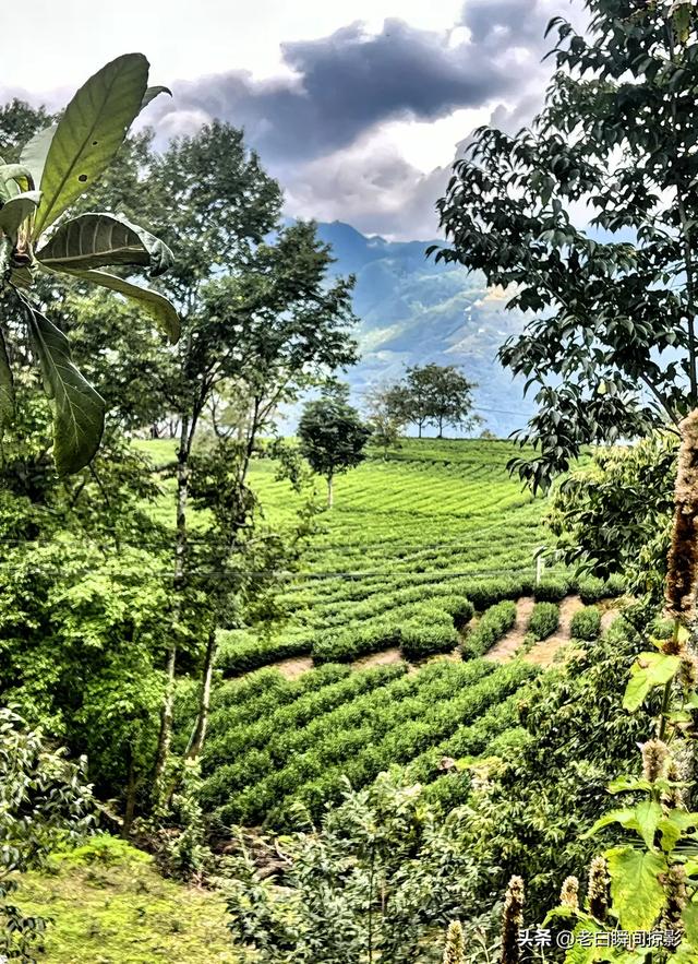 碧口古镇：白龙江边的美丽风景，一处被时光私藏的温柔秘境