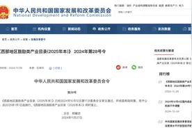 税收减免、国家激励！重庆46类产业入选西部鼓励类产业目录图片