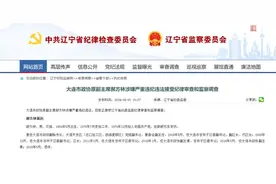 退休6年后 正厅级的他官宣被查图片