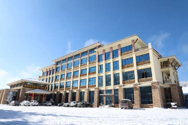 神农架滑雪季重磅升级：企鹅伴滑、萌宠撒野，解锁南国雪乡新玩法