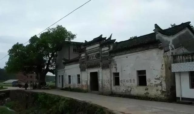 浙江金华20个最美中国传统村落，藏着婺州秀丽繁华遗风