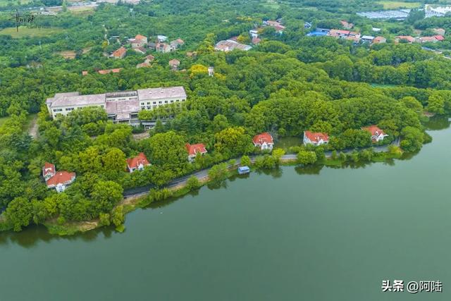 武汉的知音湖和后官湖究竟谁是大谁是小?把我这外地佬搞晕了