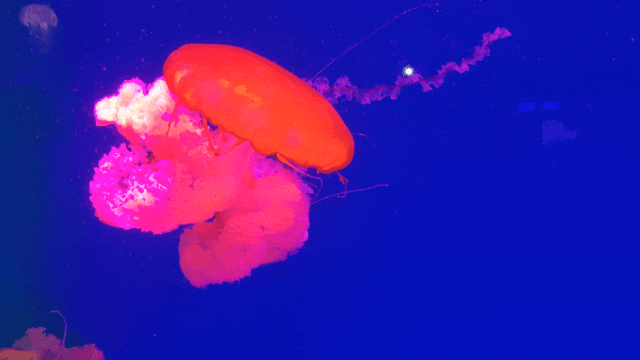 拒绝冬日 emo！临沂这些室内场馆，遛娃打卡放空全拿捏
