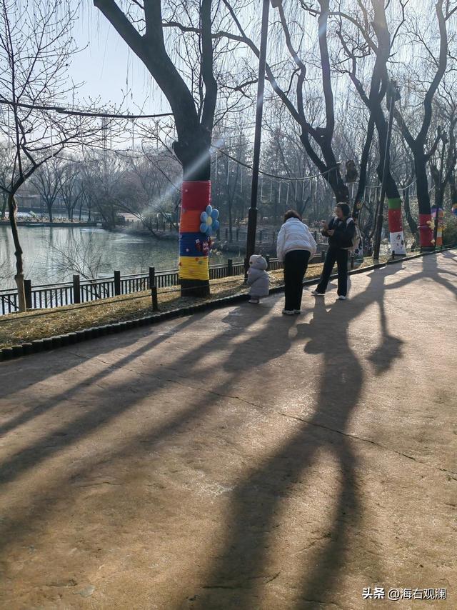 萌虎“糖糖”送福来，爪印成章迎新年