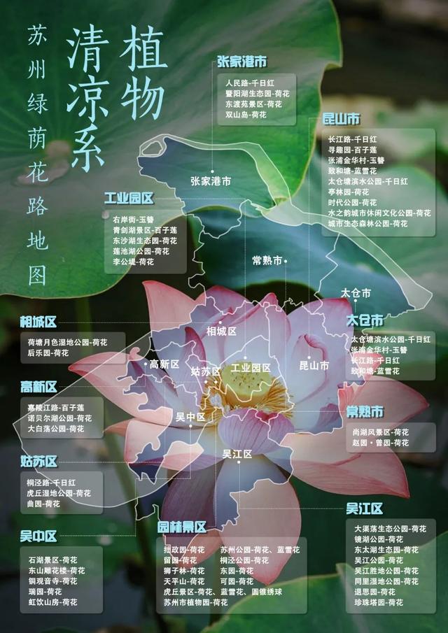 197处！苏州“绿荫花路”地图来了！