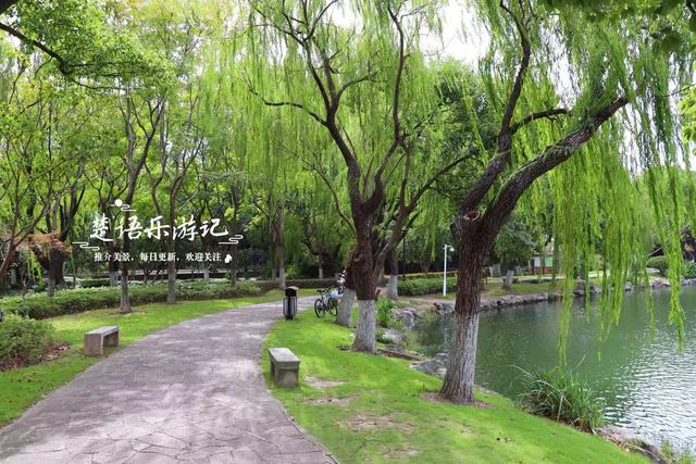 宁波镇海居然藏着一个小苏州园林，绿树掩映着亭台楼阁，值得游玩