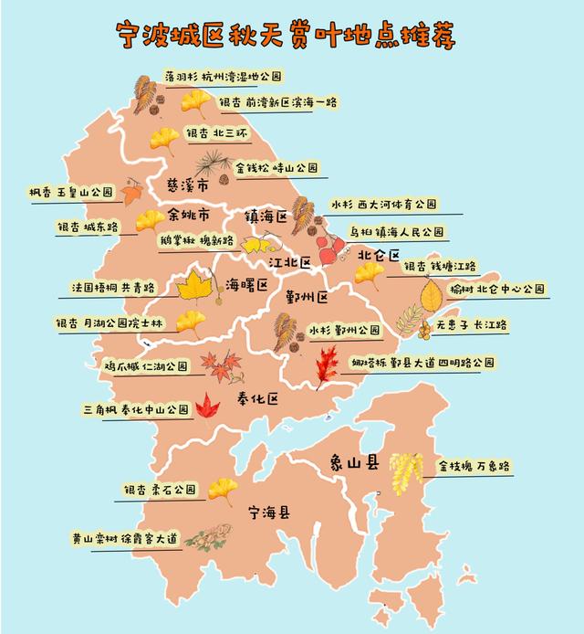 宁波秋色已“加载”80%！收好这份“金色地图”，随时打卡