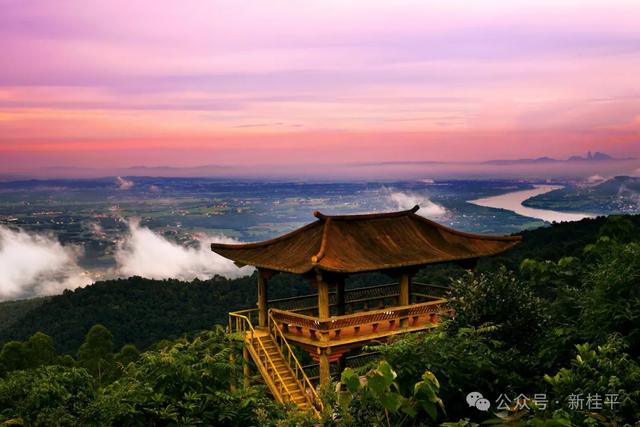 桂平半程马拉松选手看过来！文旅福利已就位，三大景点等你打卡～