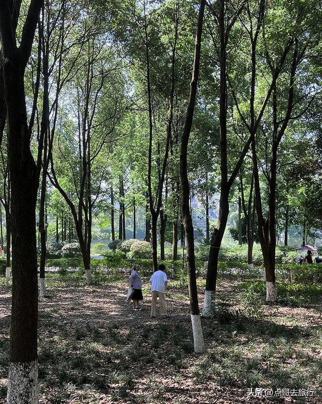 成都市内乘凉公园，风景秀美、清凉，不要门票，地铁公交可达！