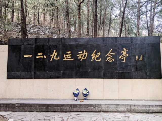 冬日樱桃沟：寒枝写意，尽是生机——探访一二·九运动纪念地有感