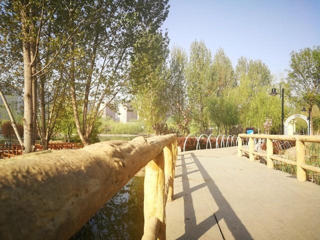 99年的网吧包厢，女同学突然凑过来，说：教我玩个刺激的游戏