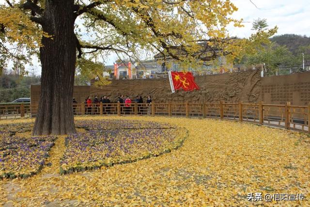 秋色正斑斓！信阳赏秋打卡地推荐