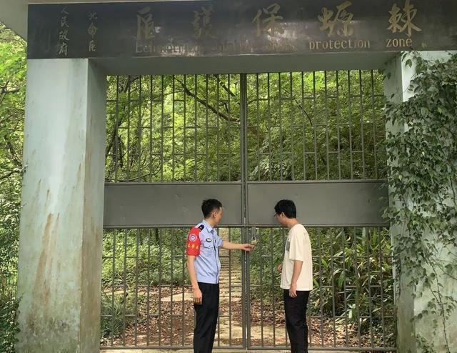 野外仅存600多只！浙江4人徒手抓26只，价值10多万