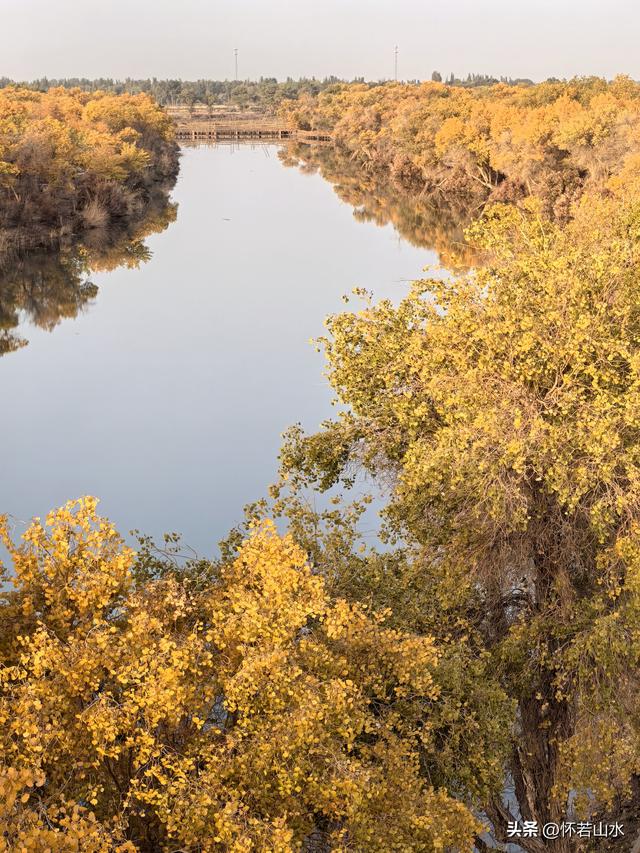 2025环南疆沙漠铁路背包自由行日记(6)---游览巴楚红海胡杨林景区
