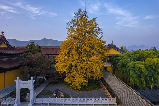 高铁直达！11月必去的6个宝藏小城，物价低又好玩，适合小住几天
