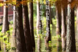 事关征地补偿！洛阳市政府最新通知！洛阳·早安图片