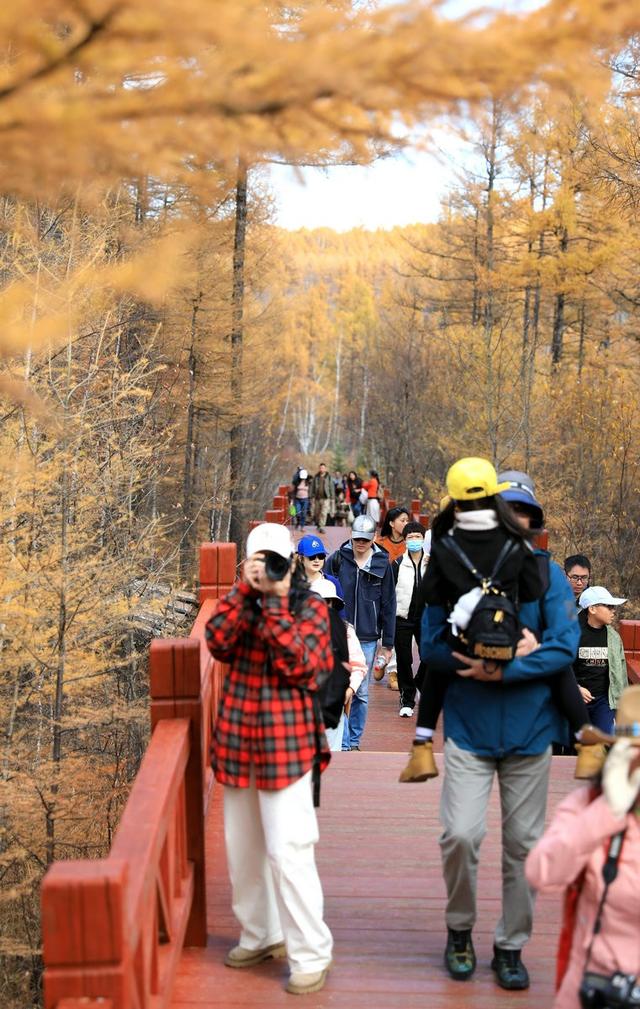 340%的热度！十一黄金周“反向出行”首选阿尔山