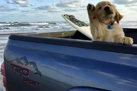 八岁这年，我惨死在太子的马下。图片