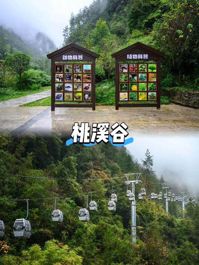 秋假封神之旅！不用人挤人，巴山大峡谷美哭