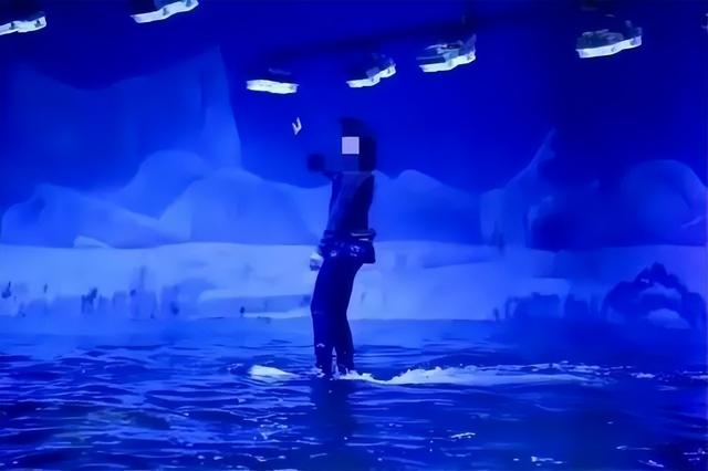 “华南第一女训鲸师”消失的十年：被白鲸拖下水后，她选择亲手拆穿海洋馆的残酷真相