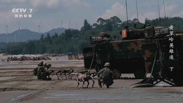 解放军首次展示机器狼冲滩有何意味
