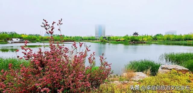 统统免费!秦皇岛家门口的这些好去处,千万别错过!