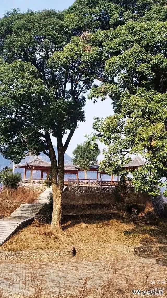 看过温州高峡不朽的轮船—石斑岩美景，可你去过它周边的村庄吗