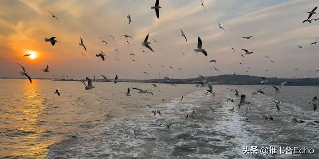 青岛城阳红岛东大洋“科普码头”，12周岁及以下儿童免费游！