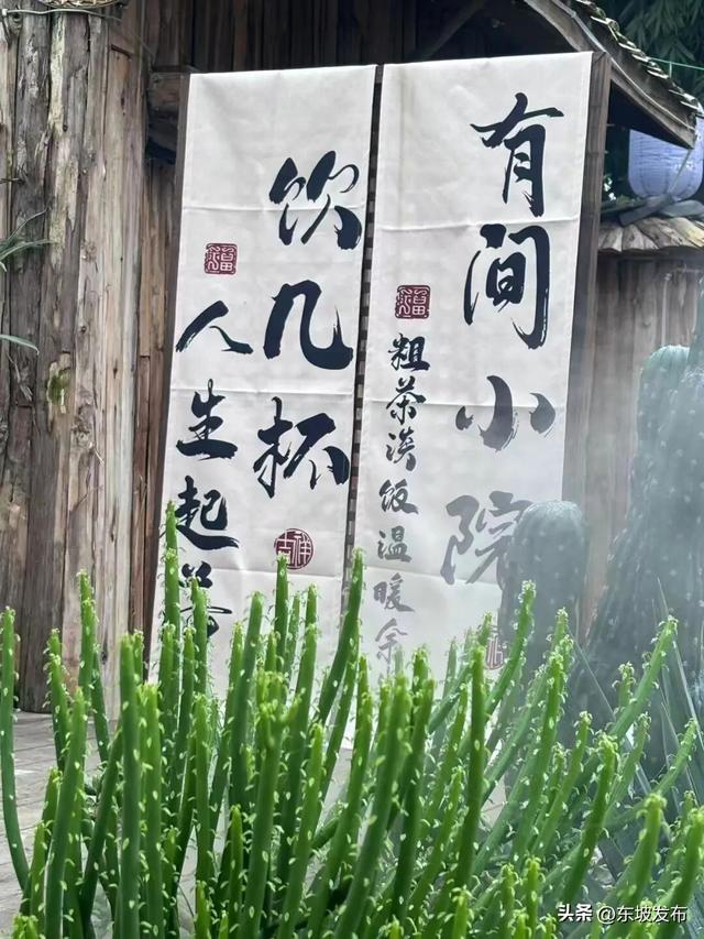 走起，这个小院出圈又出片！