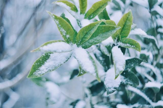 “最怕小雪是晴天”，今日小雪，晴天有啥预兆？看看农谚咋说