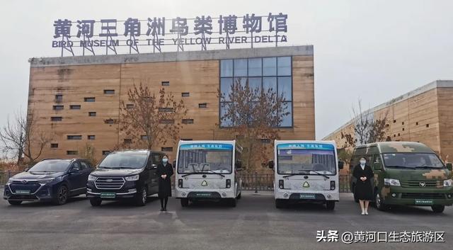 【黄河口生态旅游区】黄河口最美观鸟季已上线,赏鸟正当时!快来邂逅候鸟之约吧!