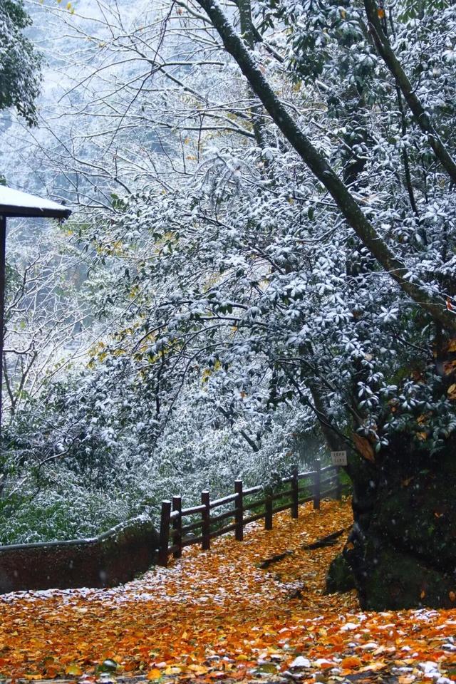 一般的拼豆我不拼，但你要说剑门关的拼豆我可感兴趣了！