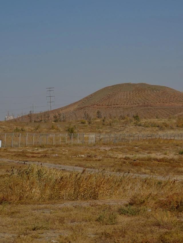如何不“悲秋”？在乌鲁木齐 3 处湿地，放松一点